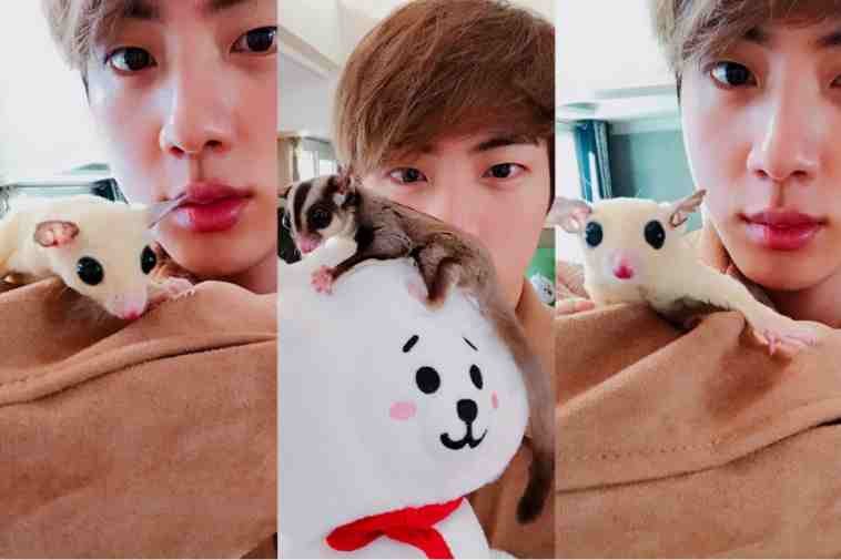 حيوانات اعضاء bts الأليفة : يونتان , بام و المزيد