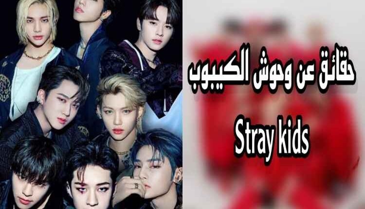 ستراي كيدز : حقائق مذهلة عن وجوش الكيبوب سكيز