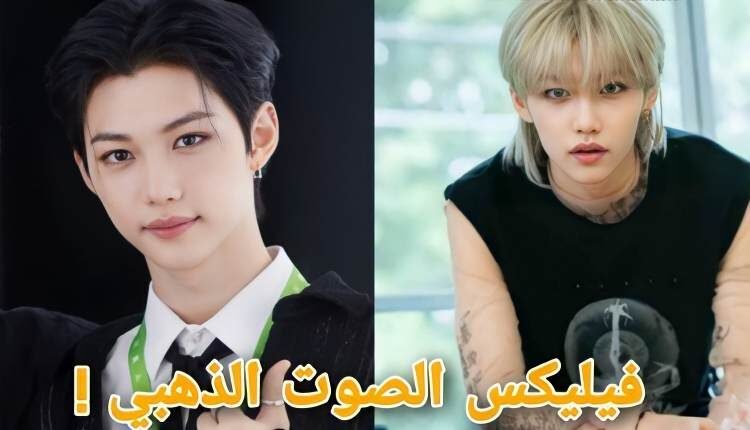 فيليكس عضو ستراي كيدز : حقائق مذهلة عن الحنجر الذهبية لوكالة جيوايبي