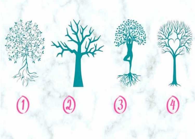 اختر شجرة لتكتشف كيف تتعامل مع الغيرة